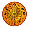astrologer in delhi